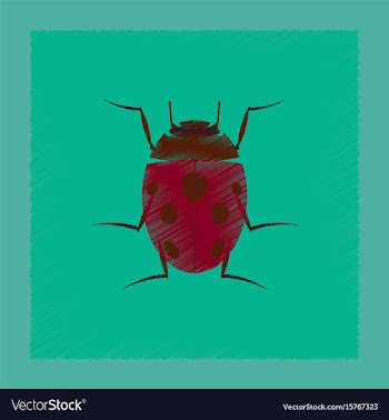Flat shading style insect ladybug vector image