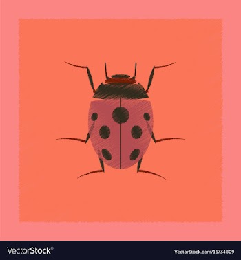 Flat shading style insect ladybug vector image