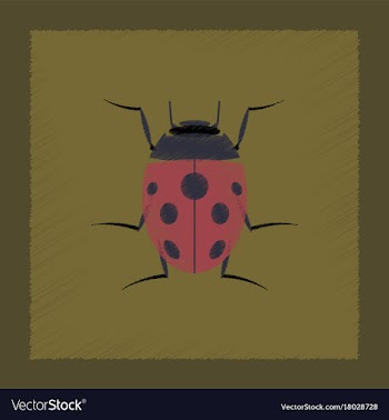 Flat shading style insect ladybug vector image