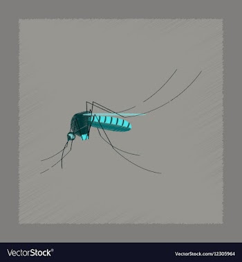 Flat shading style insect mosquito vector image