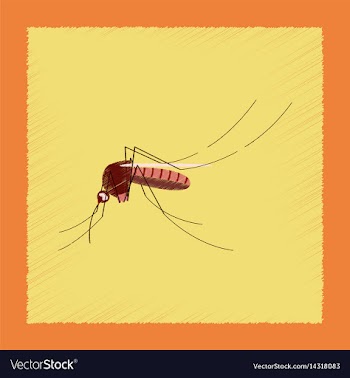 Flat shading style insect mosquito vector image