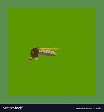 Flat shading style insect mosquito vector image