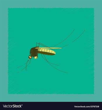 Flat shading style insect mosquito vector image