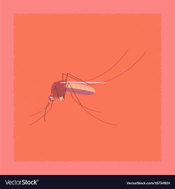 Flat shading style insect mosquito vector image
