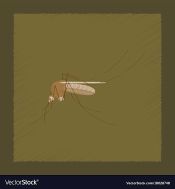 Flat shading style insect mosquito vector image