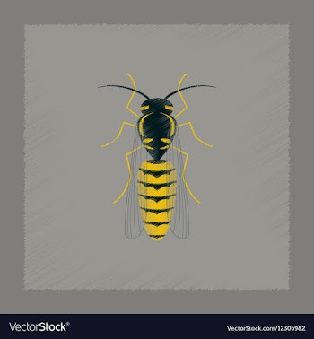 Flat shading style insect wasp vector image