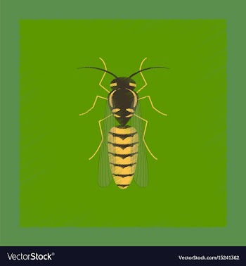 Flat shading style insect wasp vector image