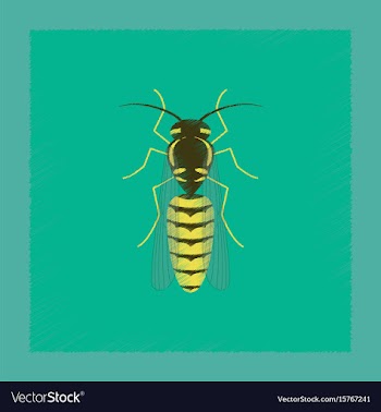 Flat shading style insect wasp vector image