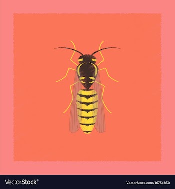 Flat shading style insect wasp vector image