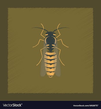 Flat shading style insect wasp vector image