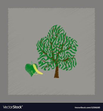 Flat shading style linden wood vector image