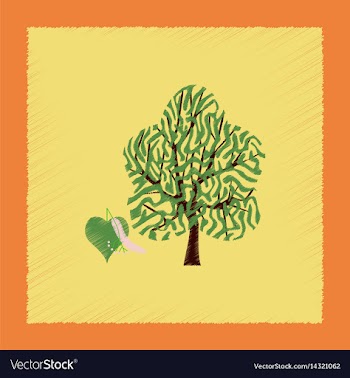 Flat shading style linden wood vector image