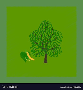 Flat shading style linden wood vector image