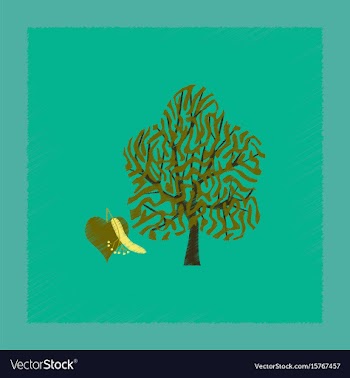 Flat shading style linden wood vector image