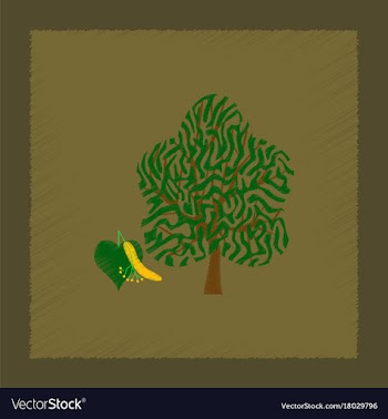 Flat shading style linden wood vector image