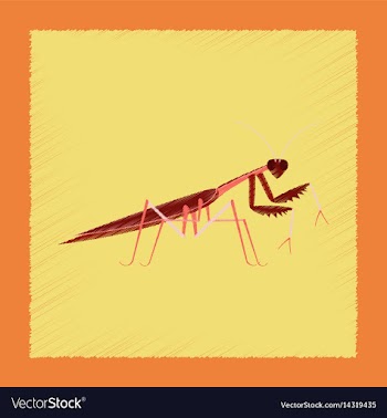 Flat shading style mantis vector image