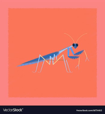 Flat shading style mantis vector image