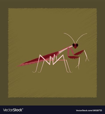 Flat shading style mantis vector image