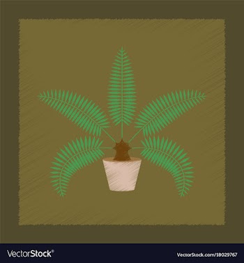 Flat shading style natural phoenix vector image