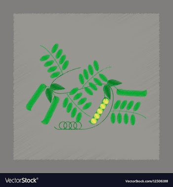 Flat shading style natural pisum vector image