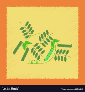 Flat shading style natural pisum vector image