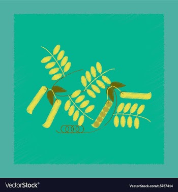 Flat shading style natural pisum vector image