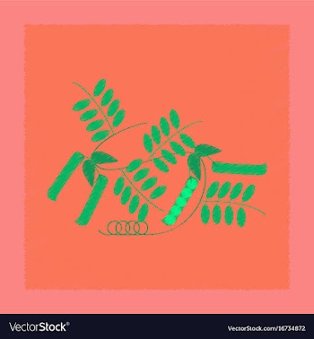 Flat shading style natural pisum vector image