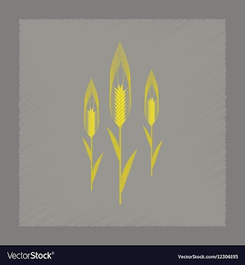 Flat shading style natural triticum vector image