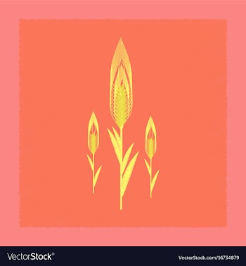 Flat shading style natural triticum vector image