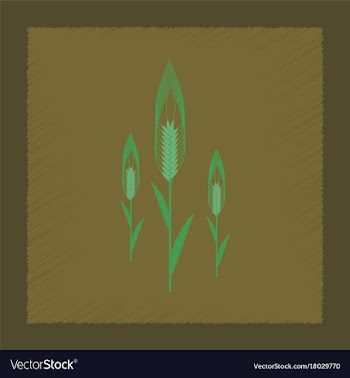 Flat shading style natural triticum vector image