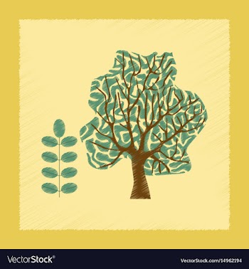 Flat shading style plant acacia vector image