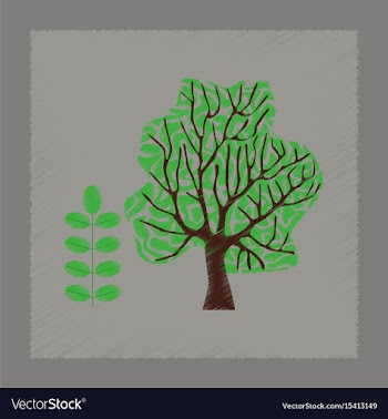 Flat shading style plant acacia vector image