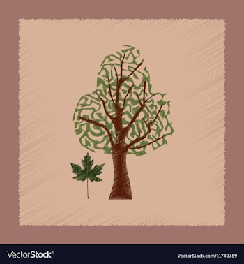 Flat shading style plant Acer vector image
