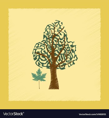 Flat shading style plant acer vector image