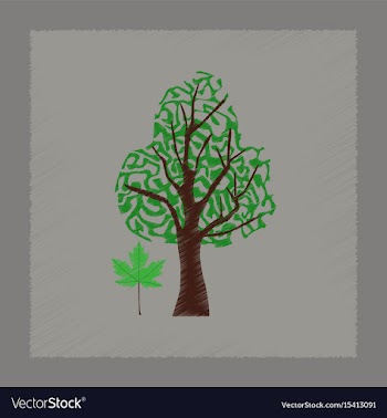 Flat shading style plant acer vector image