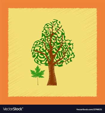 Flat shading style plant acer vector image