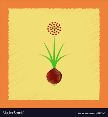 Flat shading style plant allium vector image