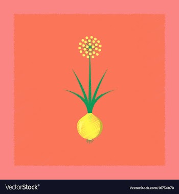 Flat shading style plant allium vector image
