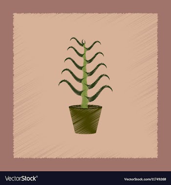 Flat shading style plant Aloe vector image