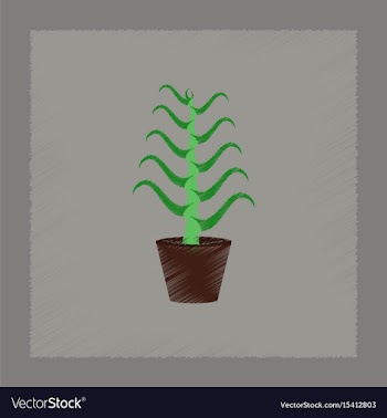 Flat shading style plant aloe vector image