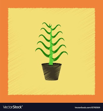 Flat shading style plant aloe vector image