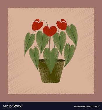 Flat shading style plant Anthurium vector image