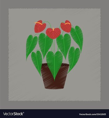 Flat shading style plant anthurium vector image