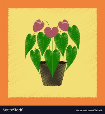 Flat shading style plant anthurium vector image