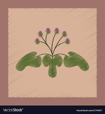 Flat shading style plant Arctium vector image