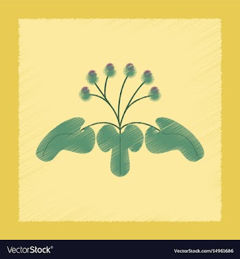 Flat shading style plant arctium vector image