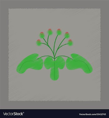 Flat shading style plant arctium vector image