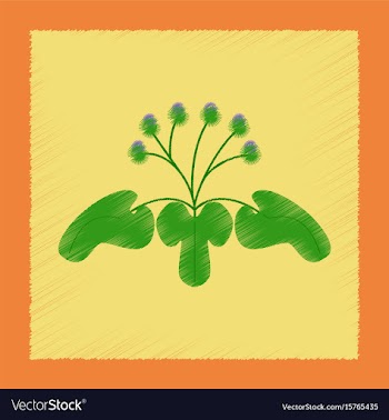 Flat shading style plant arctium vector image