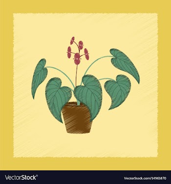 Flat shading style plant begonia vector image