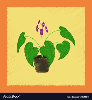 Flat shading style plant begonia vector image